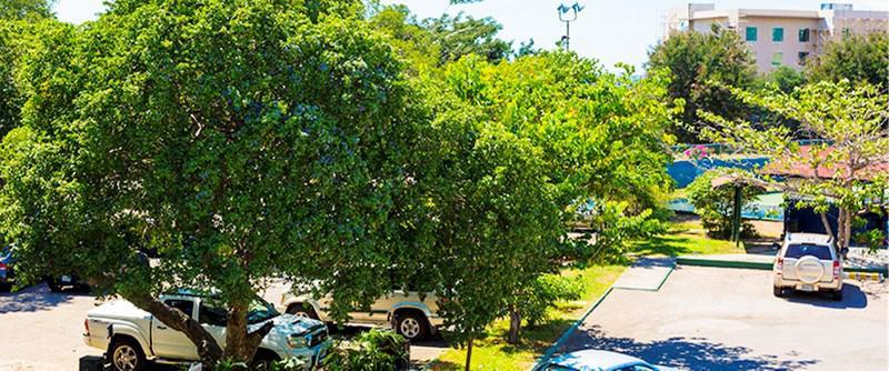 The Liguanea Club Hotel Kingston Bagian luar foto